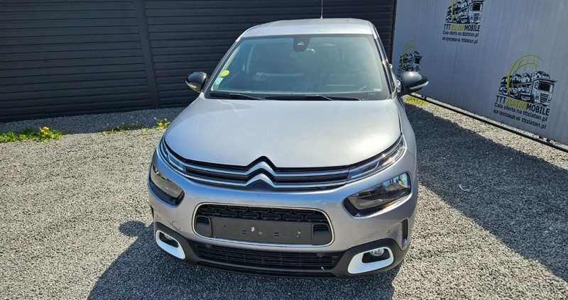 Citroen C4 Cactus cena 32900 przebieg: 79898, rok produkcji 2019 z Dęblin małe 326